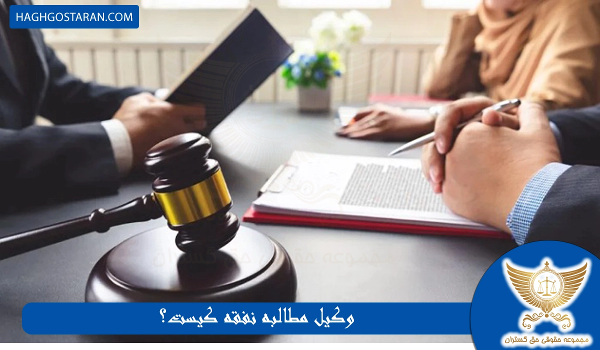 وکیل مطالبه نفقه